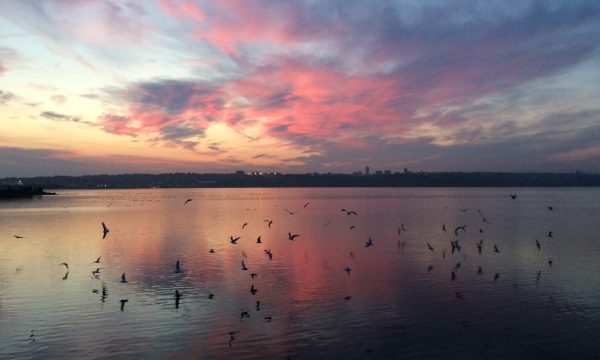 Lake_Küçükçekmece_at_Golden_Hour